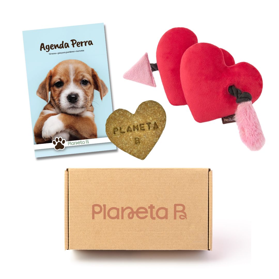 "Amores perros" Eco-box (multiple designs)