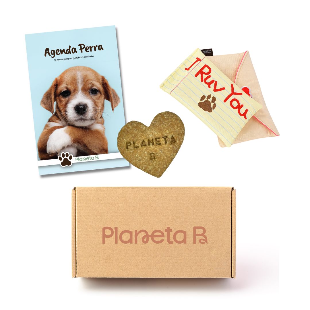 "Amores perros" Eco-box (multiple designs)