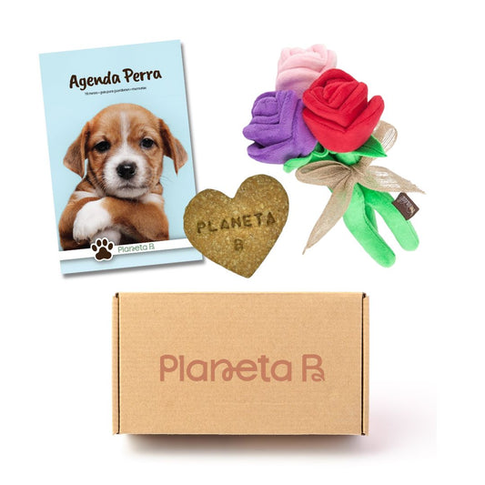 "Amores perros" Eco-box (multiple designs)