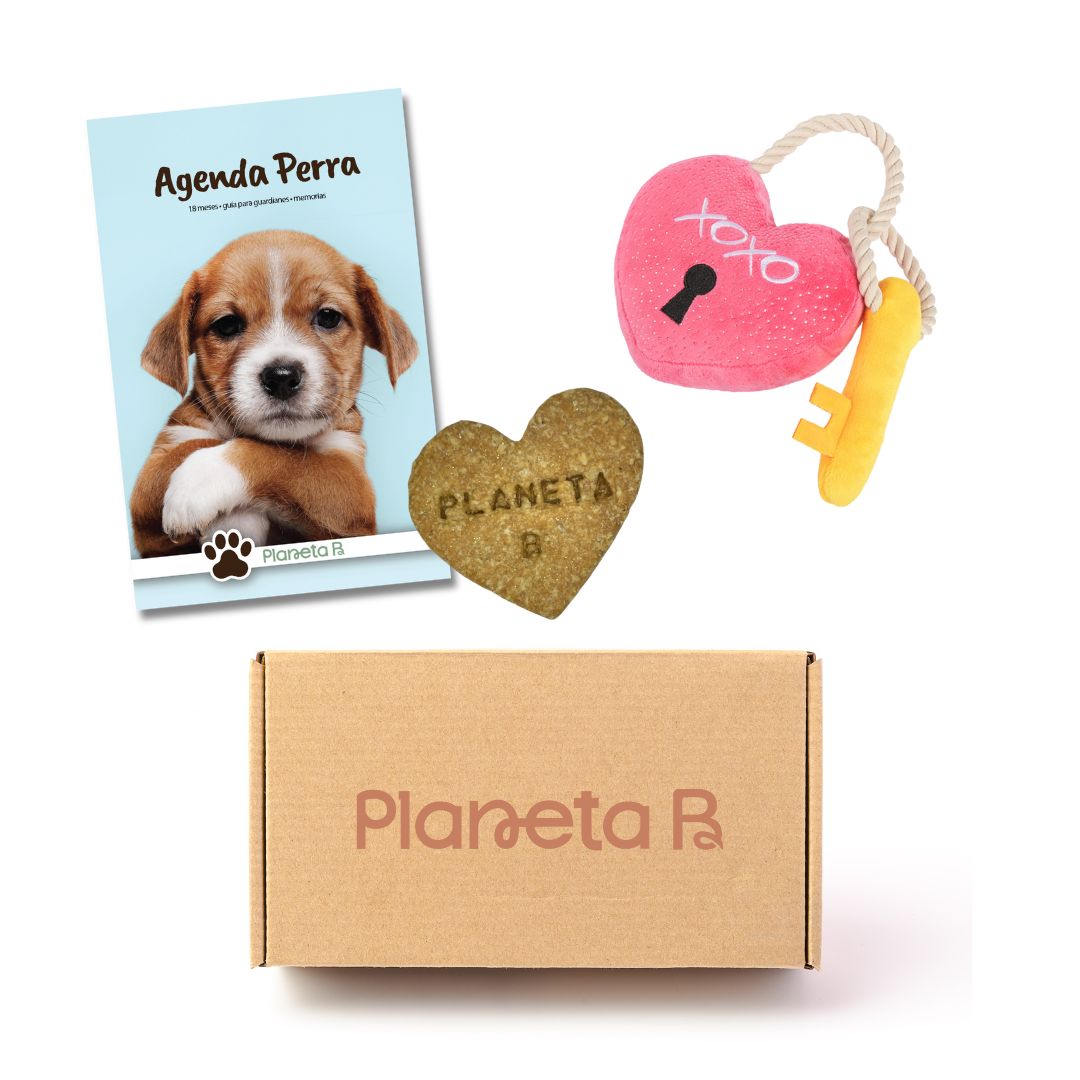 "Amores perros" Eco-box (multiple designs)