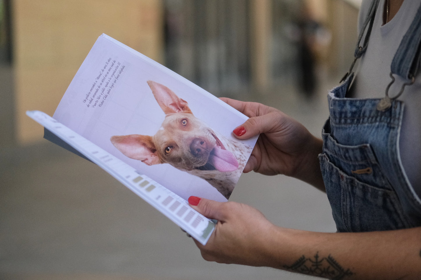"Agenda Perra" timeless 18 month planner (Spanish)