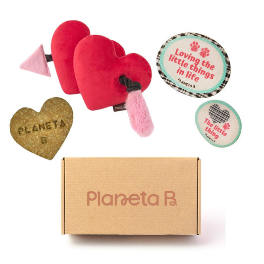 Love Fur-ever Eco-box