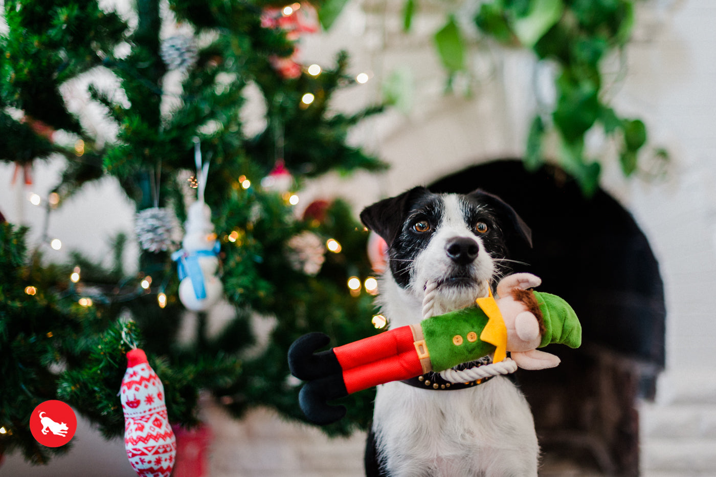 Santa's Little Elf-er plush toy