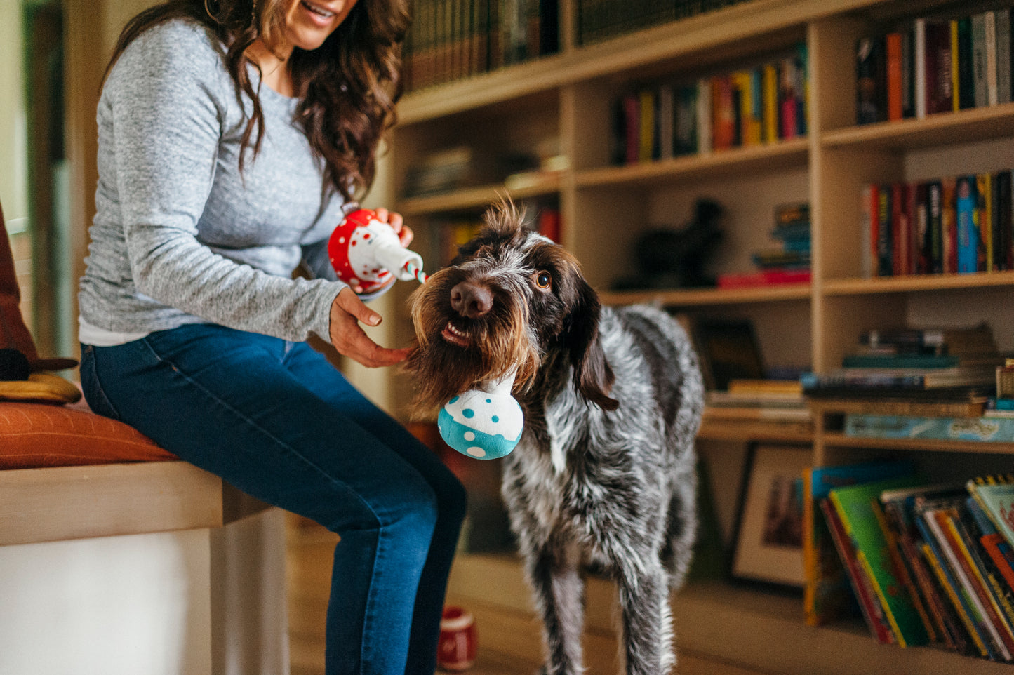 "Barking beakers" dog toy
