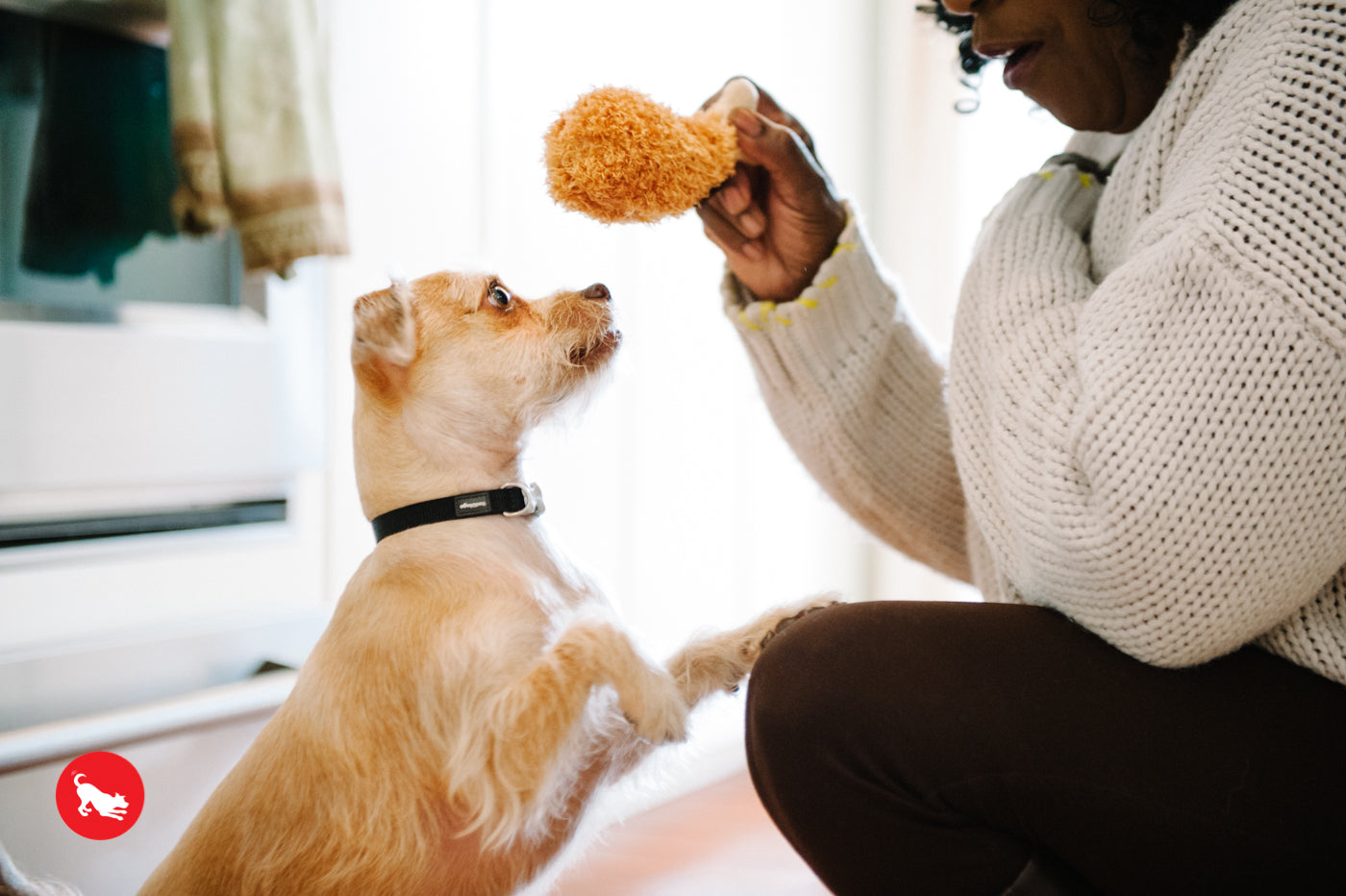 "Fluffy’s fried chicken"