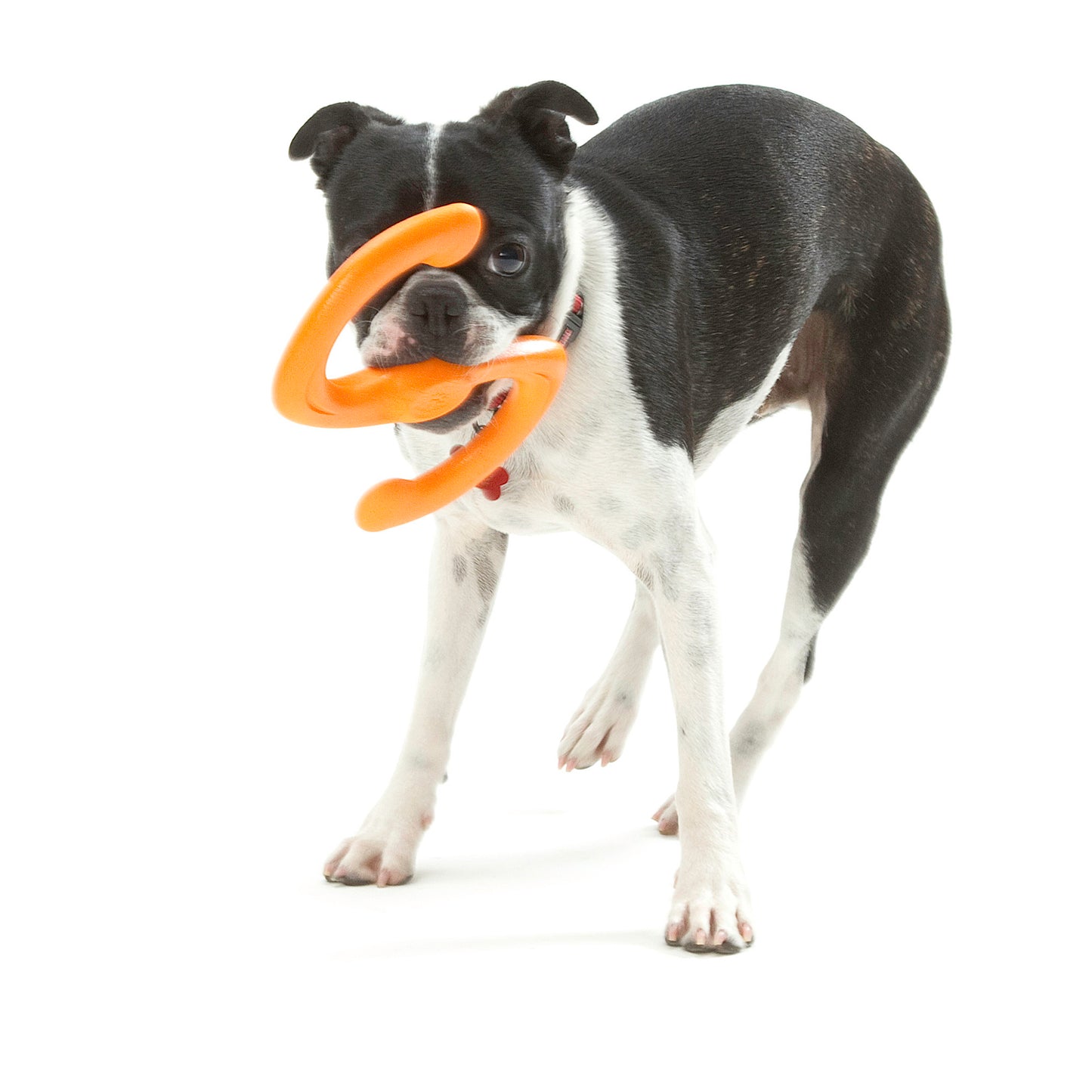 Bumi Eco-friendly Toy
