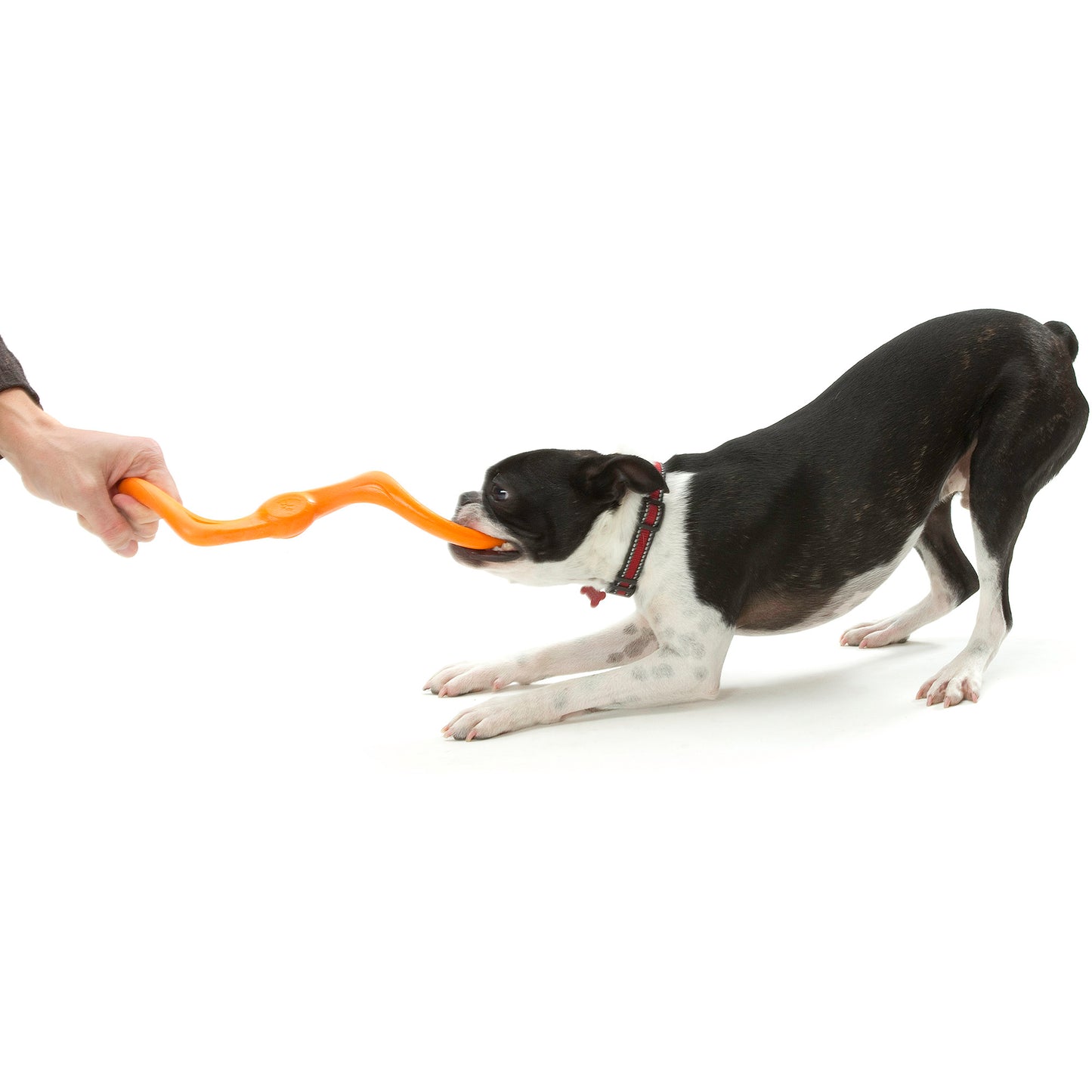 Bumi Eco-friendly Toy