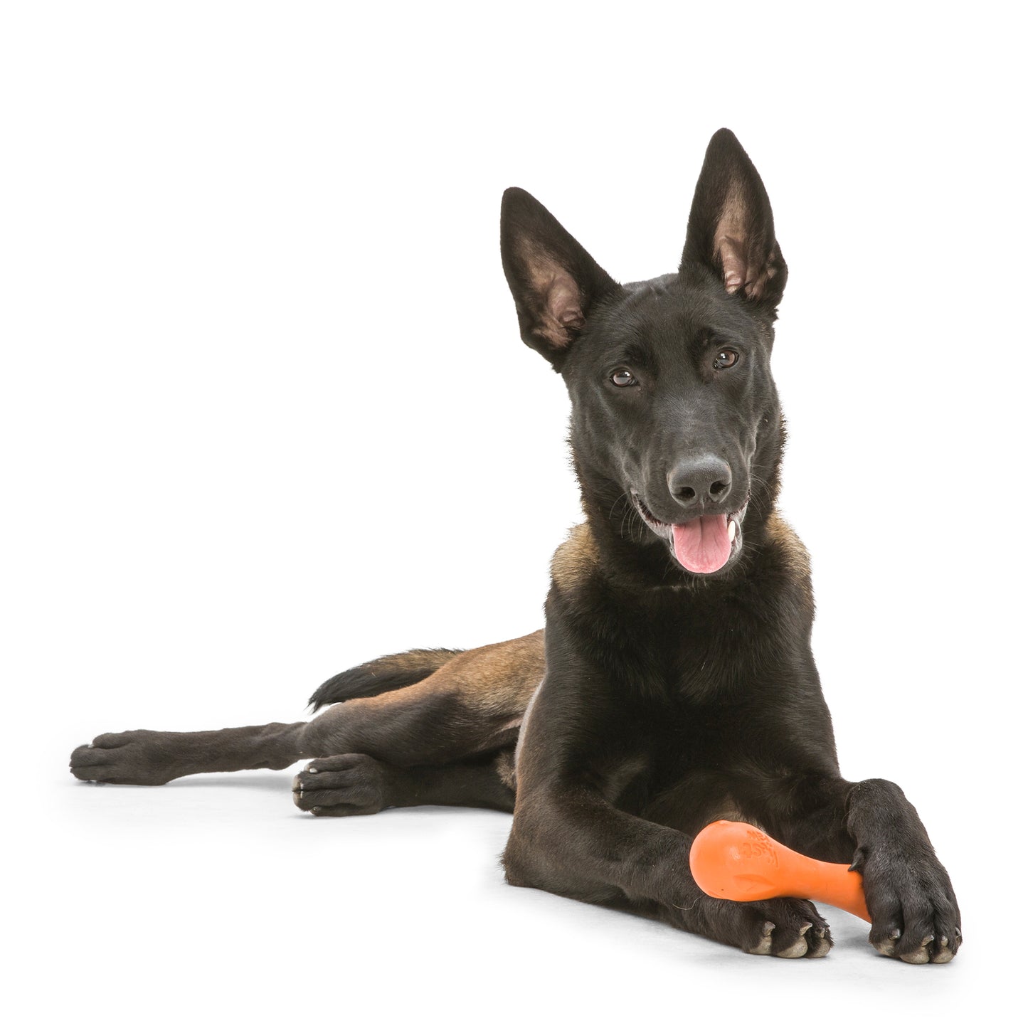 Hurley Eco-friendly Toy