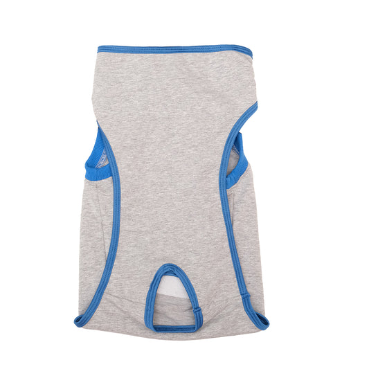 Dog after Surgery Recovery Suit