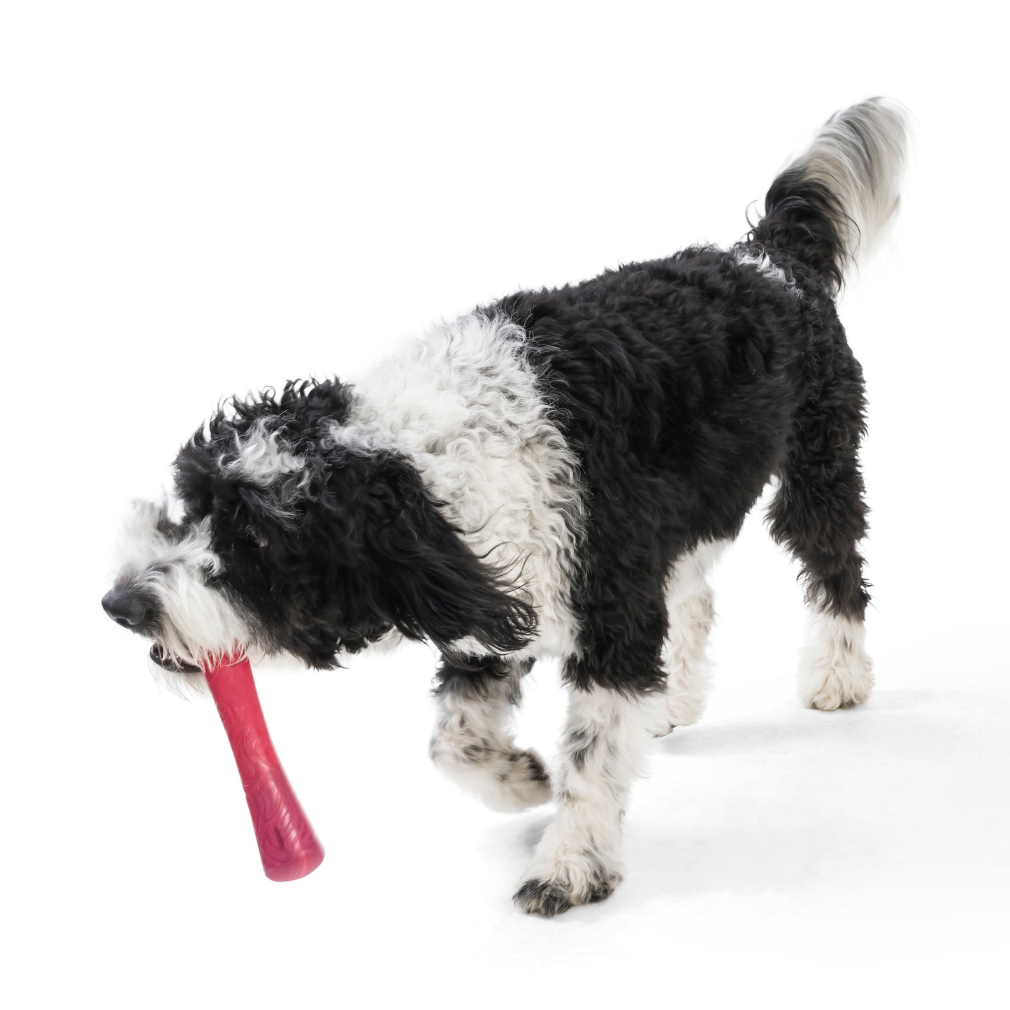 Drifty Eco-friendly Toy