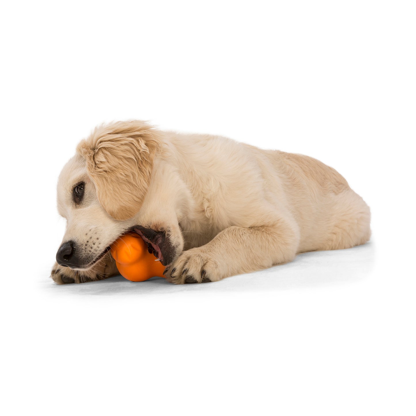 Tux Eco-friendly Treat Toy