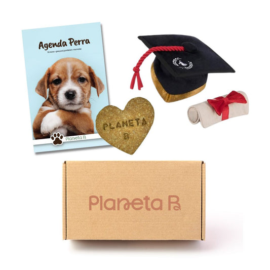 "Clase 2025" Eco-box