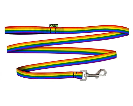 Ecoweave rainbow skinny leash