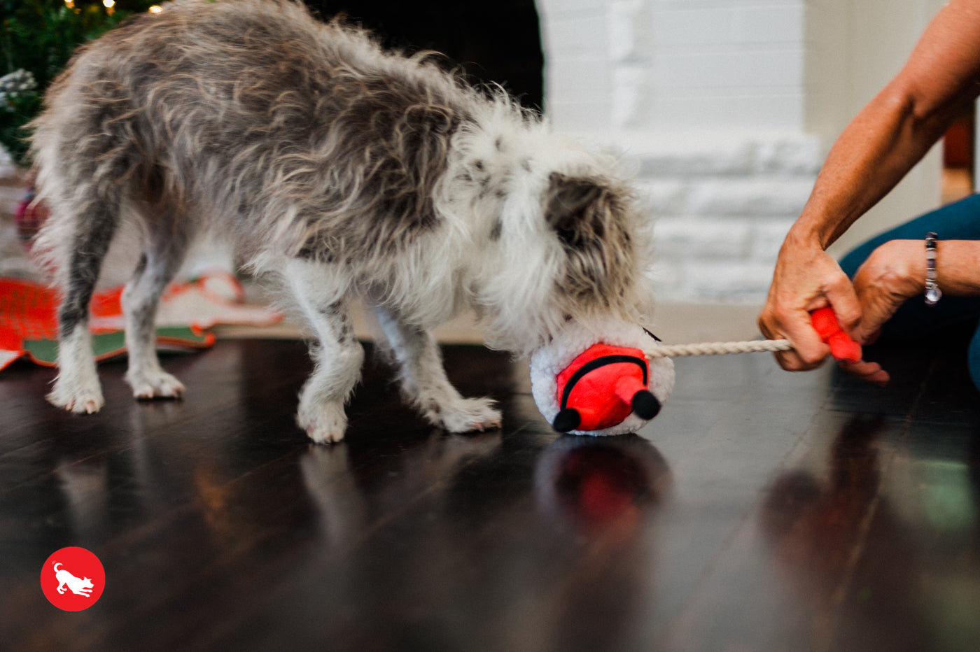 Clumsy Santa Claus