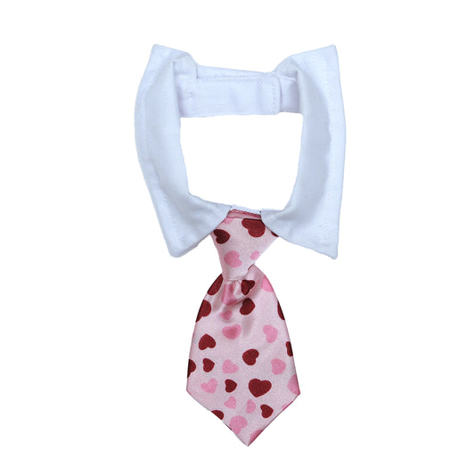 Lovely bowtie