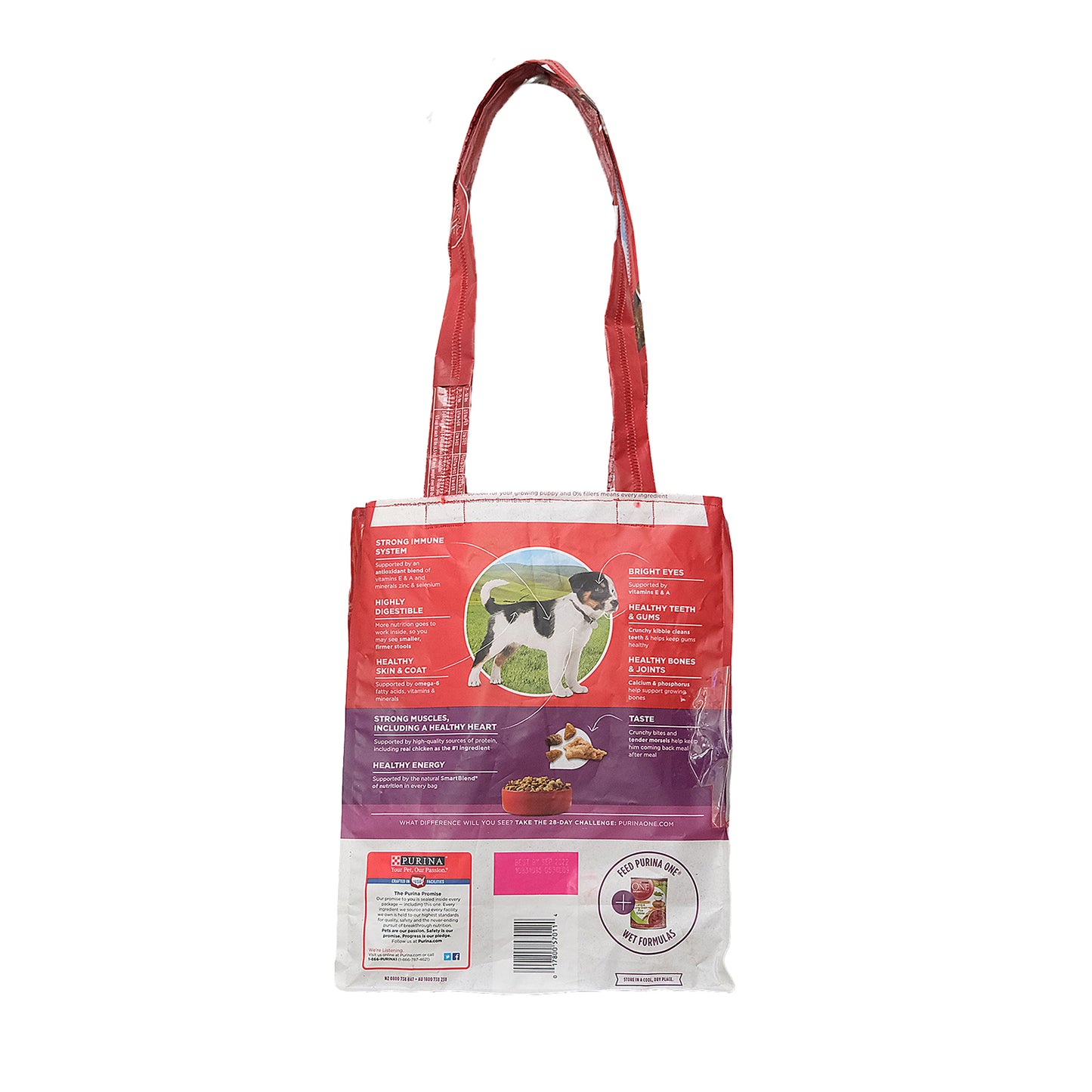 "Healthy Puppy" Up-Cycled Tote Bag