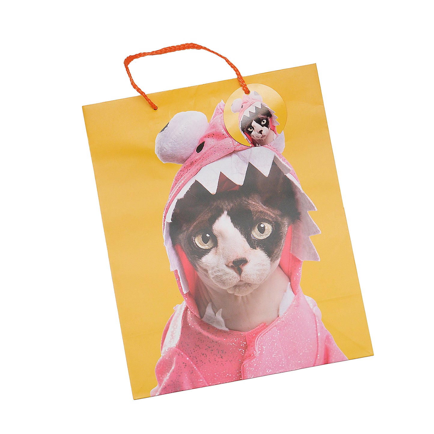 Funky Cat Portrait Gift Bag