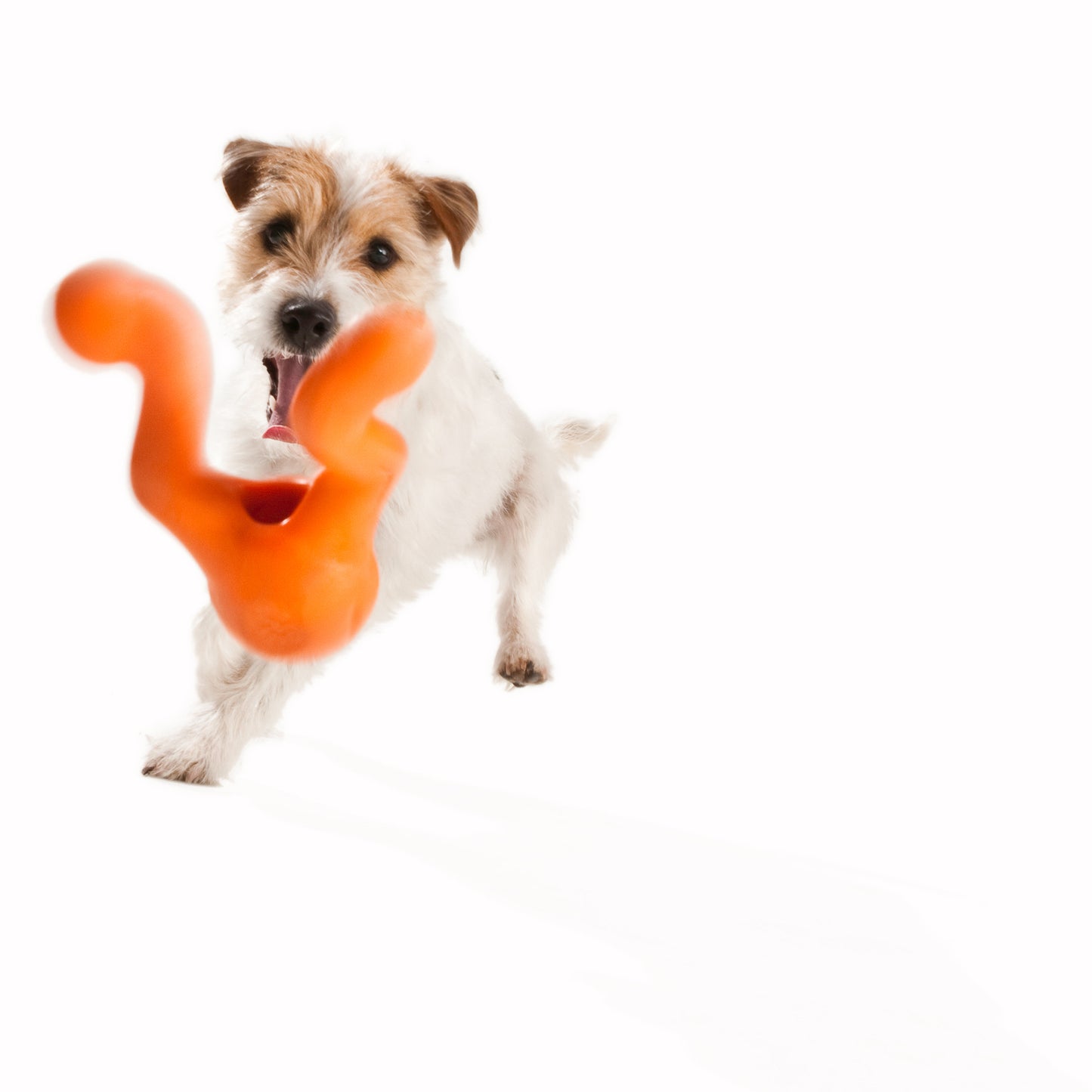 Tizzy Eco-friendly Toy